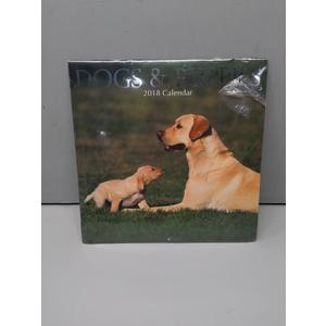 Golden Retriever Dogs & Puppies 16-Month 2018 Calendar