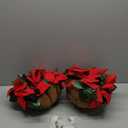 HyDren 2 Pack Pre Lit Artificial Poinsettia Flowers Christmas Hanging Basket 2 Pcs Colorful LED String Lights for Indoor Outdoor Garden Patio Porch (Red)