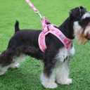 Step in Dog Harness Leash Set- All Weather Reflective No-Pull Floral Pattern Padded Mesh Vest Harness for Cats Puppy Dogs - Pink Flower - Small