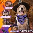 Halloween Dog Bandanas for All Dogs (2-Pack Triangle Reversible Pet Scarves) (Pumpkin Cats Boo) Premium Fabric Holidays Bandana, Purple X-Large Y