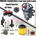 Recon 250 Carburetor with Fuel Tank Petcock Valve Set Fits for Honda TRX 250 Recon250 TRX250TM TRX250TE ATV Carb w/Air Filter Oil Filter Spark Plug 16100-hm8-b01