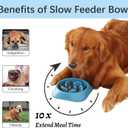 MateeyLife Slow Feeder Dog Bowls 2PCS, Anti-Choking Puzzle Dog Food Bowls, Anti-Slip Interactive Feeding Slow Down Eating, Bloat Stop Maze Dishes for Medium Breeds