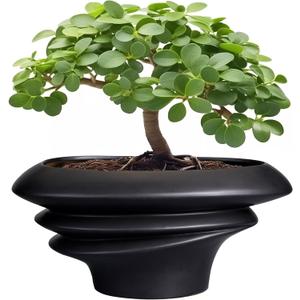 SQOWL Bonsai Pot 10 Inch - Ceramic Succulent Planter with Drainage Hole Large Plant Pot for Indoor Plants Outdoor Modern Home Decor Black