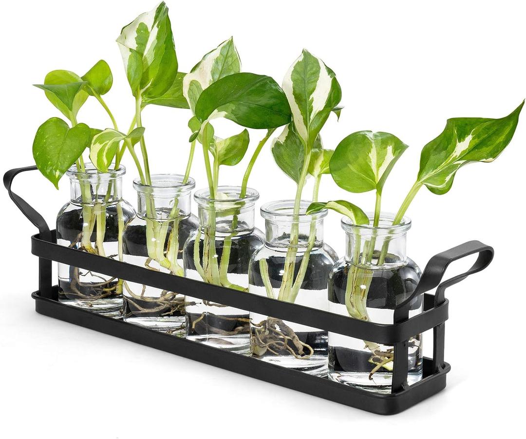 Mkono Propagation Stations with Metal Stand, Desktop Plant Terrarium Glass Planter Vase for Hydroponic Plants Flower Cutting Home Office Garden Decor Plant Lover Gifts, 5 Jars (Large)