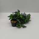 1 Branch Fake Plants Monstera Leaves Realistic House Plants, Plant Accessories Faux Plants Indoor, Artificial Plants for Home Decor Indoor B