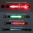 Light Up Dog Collar at Night, Led Dog Collar Adjustable, Rechargeable Waterproof, Dog Lights for Night Walking, Glow in The Dark Collar Light for Medium Large Dogs (Rose Red)