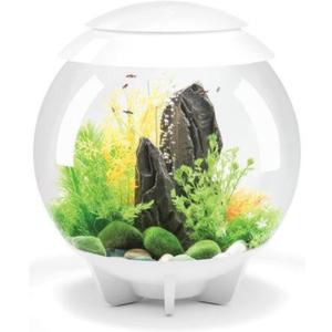 biOrb Halo 30 Acrylic 8-Gallon Aquarium with Multi-Color Remote-Controlled LED Lights Modern Tank for Tabletop Display, White