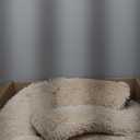 Shaggy Rug Beige 106x72 in