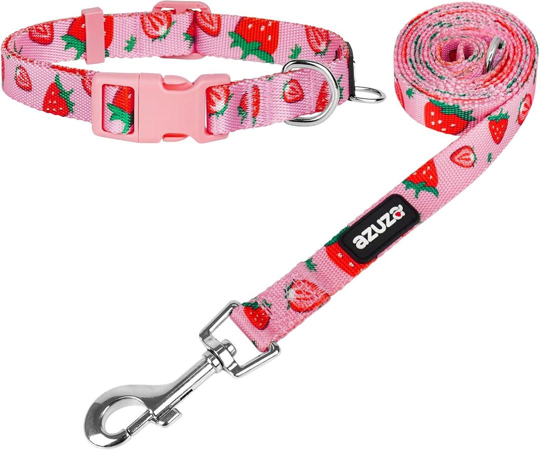 azuza Dog Collar and Leash Set, Collar Nylon and Matching Leash for Small Dogs, Strawberry