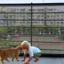 Banister Guard-18ft X 2.66ft Thick Balcony Safety Net for Kid Pet Balcony Guard Balcony Netting for Pet Rail Net for Balcony Apartment Cat Netting Safety Netting for Railings Stair Guards (Black)