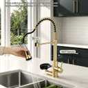 Pull Down Kitchen Faucet with Cup Washer Brushed Gold