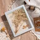 Califortree 8x10 Shadow Box Frame with Linen Back - Sturdy Rustic Memory Display Case of Flower, Pictures, Medals and More, White