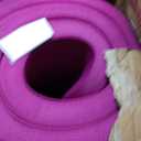 CAP 1" Extra Thick Yoga Mat, Exercise Mat with Strap, Multiple Colors