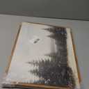 InSimSea Framed Canvas Wall Art Winter Christmas Decor Living Room Pine Tree Forest Decor Nature Landscape Decoration for Bedroom Bathroom Rustic Xmas Holiday Gifts 12x16 Inch