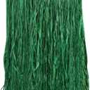 Beistle Adult Raffia Hula Skirt Party Supplies, 31" W x 28" L, Green