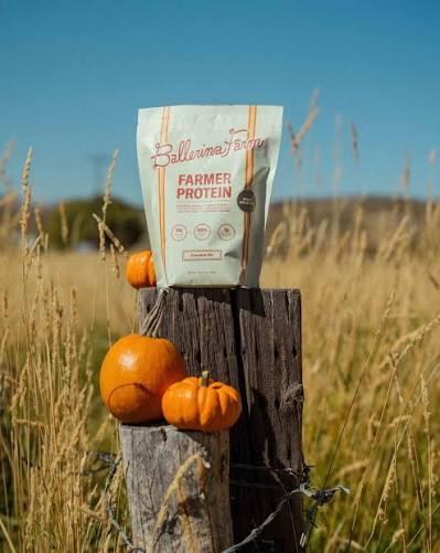 Pumpkin Pie Protein Powder, Grass-Fed Whey Protein Powder with 12g Plant-Based Protein & 3g Prebiotic Fiber, Made with Real Pumpkins & Organic Cinnamon, Non-GMO, Gluten Free, 0.79lb (EXP 10/31/27)