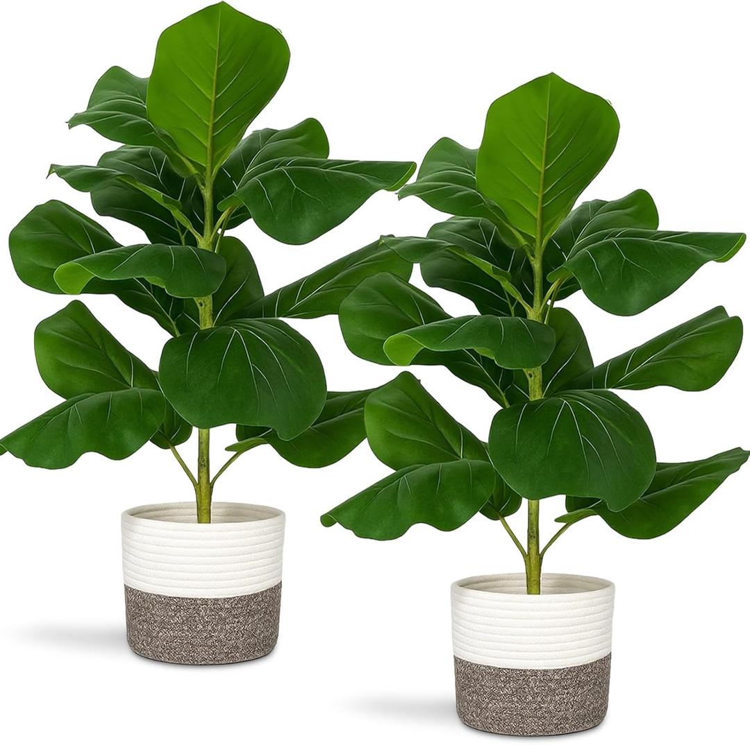 2 Pcs Artificial Summer Fiddle Leaf Fig Trees, 2.7 ft Tropical Theme Artificial Ficus Lyrata Fake Potted Plant with Cotton Rope Baskets for Home Office Bedroom School Classroom Decoration Gifts White
