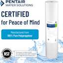 Pentair Pentek DGD-5005-20 Big Blue Water Filter, 20-Inch Whole House Sediment Filter Cartridge Replacement, Dual-Gradient Density Spun Polypropylene, 20" x 4.5", 5 Micron, (Pack of 2), White