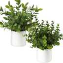 Briful Mini Fake Plants Set of 2 Small Faux Plant Eucalyptus Rosemary Greenery Potted Plants Artificial Decor for Home Table Office Room Desk Bathroom Shelf Kitchen Farmhouse Mantel Decoration