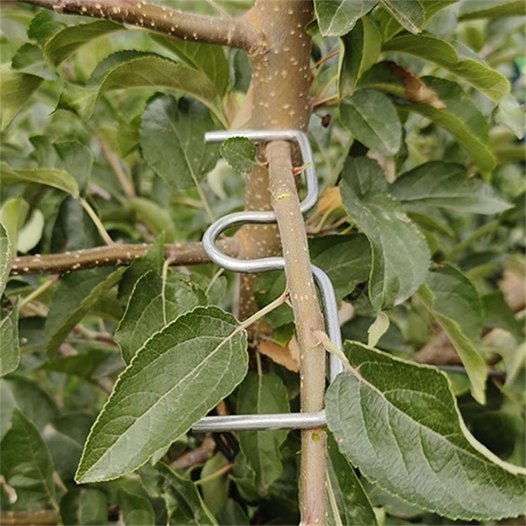 Fruit Tree Branch Puller 50pcs, Fruit Tree Branch Limb Spreader Fruit Tree Branch Garden Bonsai Puller Tying Machine Plants Branch Bending Tools (M5.1IN)