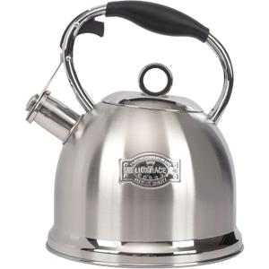 Tea Kettle for Stovetop, Food Grade Stainless Steel Water Kettle, Tea Pot for Home & Kitchen, 3.0 Qt (Silver)