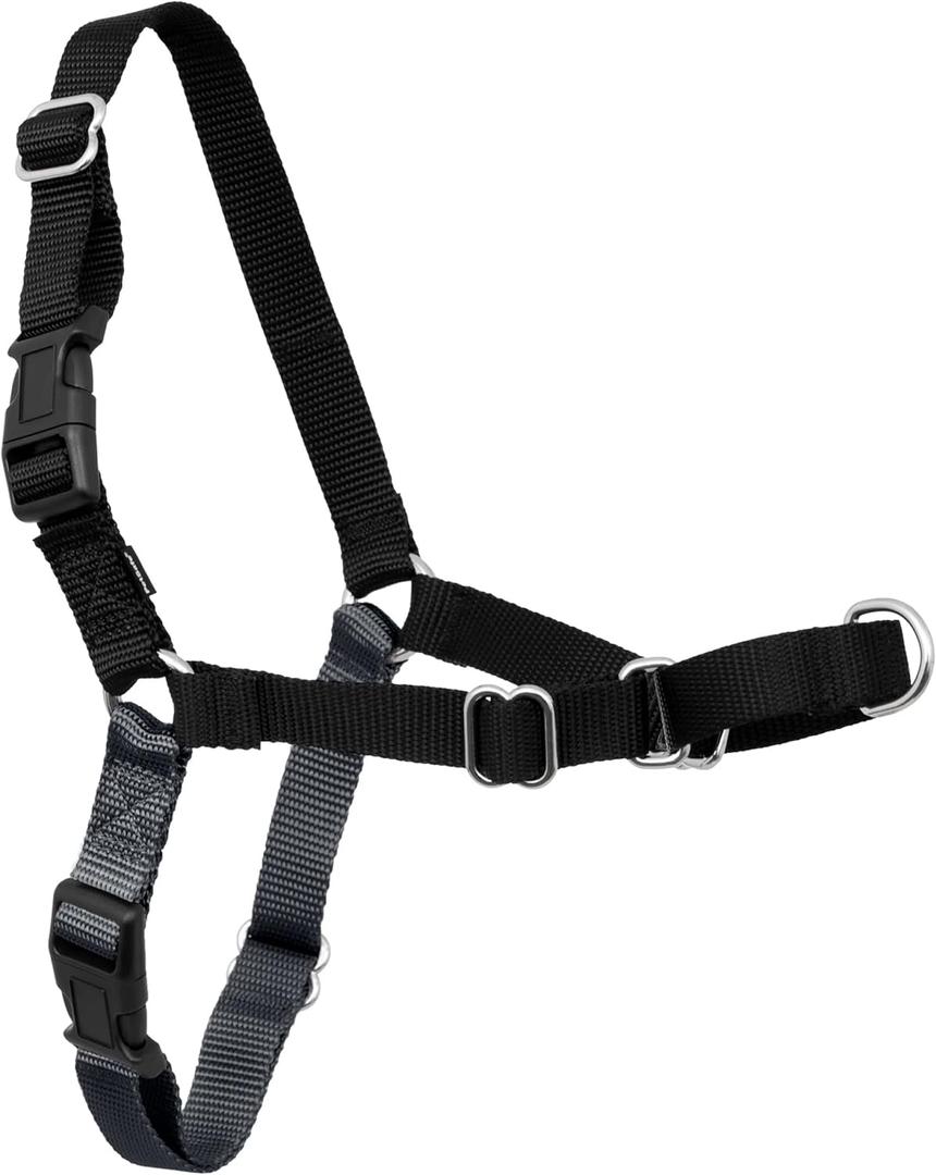 PetSafe Easy Walk Harness for Dogs - Pull-Free Walks - Patented Martingale Loop Design - Front Chest Leash Attachment - Comfort Straps - Breathable Harness Design - Large, Charcoal/Black
