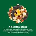 Kaytee Wild Bird Basic Seed, 10 lb, Best By: 12 NOV 2026