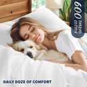 Shilucheng 100% Cotton Queen Size Sheets Set - 600 Thread CountLuxury Egyptian Cotton Bed Sheets5-Star Hotel Quality Sheets, Breathable & Cooling, 16 Inch Deep Pocket - 4 Piece (White, Queen), Queen - Standard