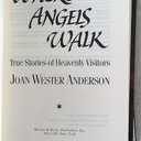Where Angels Walk: True Stories of Heavenly Visitors