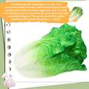 Zeyune 4 Pcs Artificial Vegetable Fake Realistic Vegetable for Decoration, Home Kitchen Decor, PU Simulation(Lettuce)