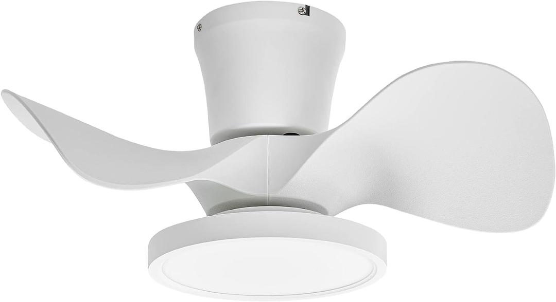 ocioc Quiet Ceiling Fan with LED Light 22 inch Large Air Volume Remote Control for Kitchen Bedroom Dining Room Patio (White)