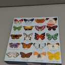 Mudpuppy Butterflies of North America 500 Piece Family Jigsaw Puzzle, Butterfly Puzzle with Recognizable Butterflies from Around North America