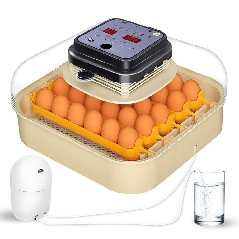 Brivouen 30 Egg Incubator with Humidity Display, Egg Candler, Automatic Egg Turner, for Hatching Chickens