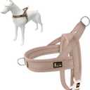 Plutus Pet No Pull Dog Harness with Breathable Mesh Padded, Adjustable Reflective Escape Proof Dog Harness, Quick Fit Dog Vest Harness for Small Medium Large Dogs(XXS, Beige) (XXS: chest 11.8"-15")