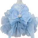 ANIAC Blue Cat Wedding Dress with Bow Knot Dog Wedding Outfit Formal Puppy Clothes for Girl Small Dog Luxury Pet Party Dress for Kitten Chihuahua Yorkie Pomeranian (Blue-2, Small)
