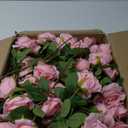 Tigeen 150 Pcs Artificial Rose Flowers Bulk, Fake Silk Roses Realistic Long Stem Flower Bouquets for Wedding Centerpieces Flower Arrangement Home Kitchen Decor(Pink)