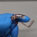 OPTOFENDY Folding Reading Glasses for Women Men, Lightweight Spring Hinge Readers, Portable Blue Light Glasses with Zipper Case