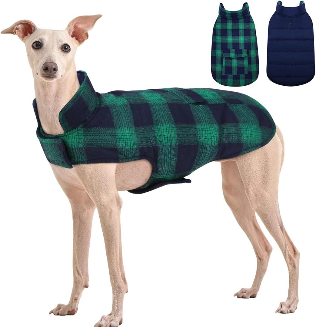 Kuoser Reversible Winter Coat, British Style Jacket for Small Medium Dogs - Warm, Windproof Puppy Cold Weather Vest, Green M (M (Chest Girth: 17.3-20.9''))