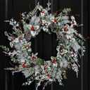 Hometrance Winter Christmas Wreaths for Front Door 20 Inches, Faux Xmas White Red Wreath for Window Outdoor Outside, Artificial Farmhouse Holiday Modern Wreath for Indoor Porch Decor (Green 04)