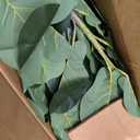 OXLLXO 7.3ft Artificial Fiddle Leaf Fig Tree (87in) with Plastic Nursery Pot Faux Tree, Ficus Lyrata Fake Plant for Office House Farmhouse Living Room Home Decor (Indoor/Outdoor)