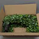 20 Inch Large Boxwood Wreath, Spring Summer Artificial Green Wreaths for Front Door Farmhous Wedding Window Hanging Wall All Year Round Indoor & Outdoor St Patrick's Day Decor