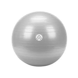 Exercise Ball for Yoga, Pilates & Fitness – Stability Ball Equipment for Home Gym & Office Chair, Core & Balance Training Accessories, Physical Therapy Equipment, Quick Pump Included, 65 cm