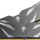 Netac DDR4 DRAM 32GB Kit (2x16GB) 3200MHz XMP 2.0 Dual Channel RAM CL16 (PC4-25600) 1.35V 288-Pin Upgraded Aluminum Heat Sink Ideal for Gaming Computer Upgrade - Shadow II Series (Black)