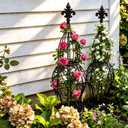 2-Pack Garden Obelisk Trellis for Climbing Roses & Flowering Vines, 30" Tall Iron Plant Support, Tool-Free Snap Assembly, Decorative Outdoor Accent for Patio Planters & Entryways