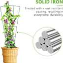 6-Pack Indoor Plant Trellis - 24 Inches, Heavy-Duty Metal for Climbing Houseplants, Flowers, Vines, and Ivy