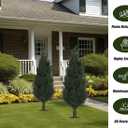 35" Artificial Cypress Topiary Cedar Topiaries for Indoors & Outdoor UV-Resistant Rated with Spike. Easy to Push in The Ground 3FT Home Garden Decor Set of 2