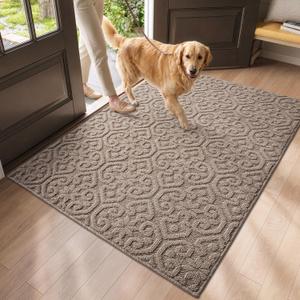 DEXI Front Door Mat Indoor Entrance, 4x6 Entryway Doormat, Beige, 48" X 72"