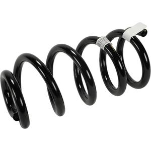 GM Genuine Parts 84475064 Front Coil Spring