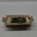 Artificial Geraniums Flowers for Outdoors Summer Decor, 4 Bundles UV Resistant Fake Geraniums Flowers Silk Faux Plants for Home Planter Gardens Table Patio Porch Indoor Spring Cemetery Decor(White)