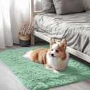 OLANLY 2x3 Machine Washable Small Bedside Rug, Soft Fluffy Shaggy Entryway Throw Rugs for Bedroom, Living Room, Indoor Floor Carpet for Kids Girls Boy, Nursery Rooms, Home Decor Aesthetic, Mint Green